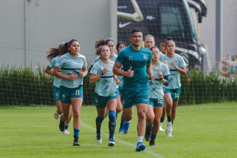 Team Training - Ape Mode Fitness